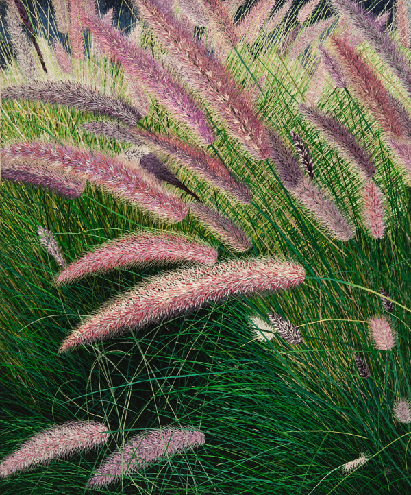 Foxtail Grass by Yan Inlow