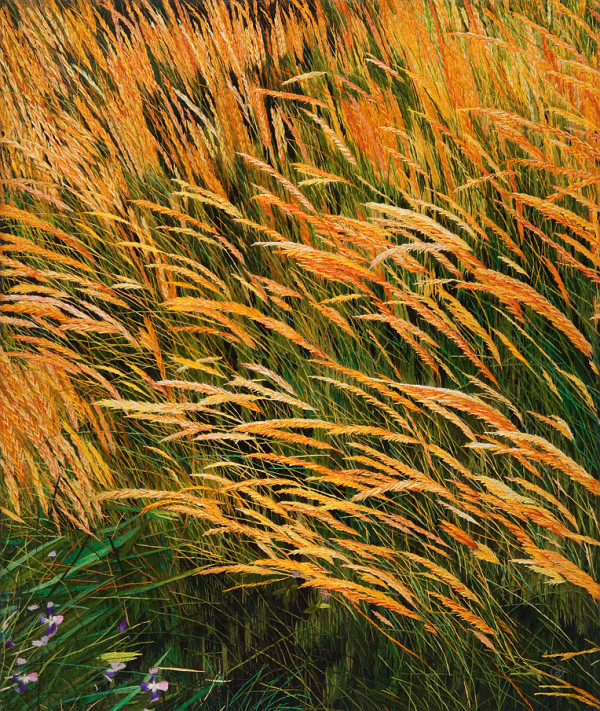 Golden Grass by Yan Inlow