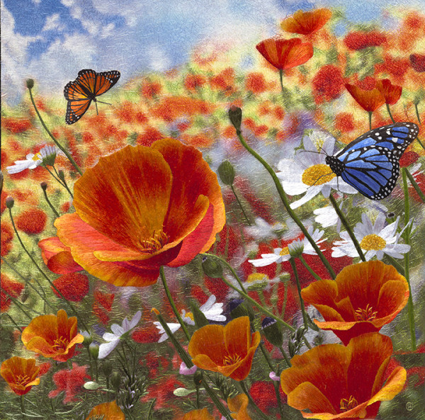 Butterflies Enjoying Poppies on a Spring Day #1 by Yan Inlow