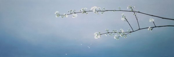 Plum Blossom by Yvette Molina