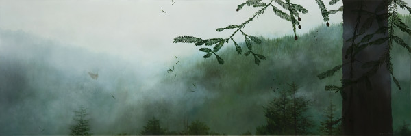 Redwood by Yvette Molina