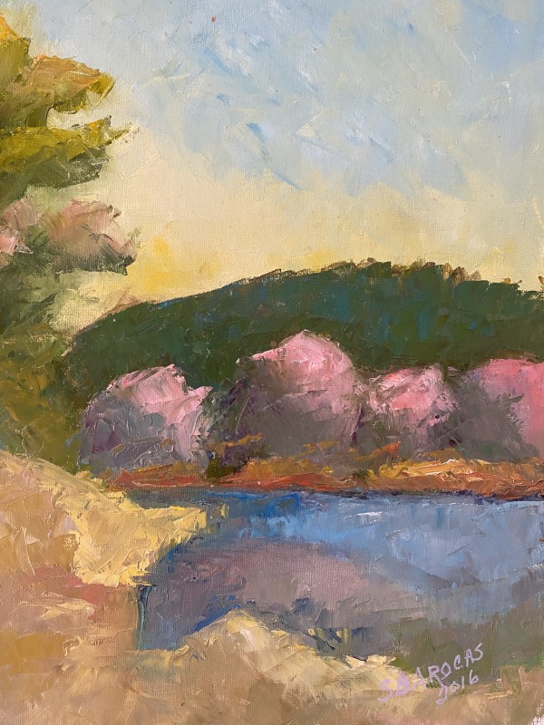 Fitzgerald Lake by Susan Barocas