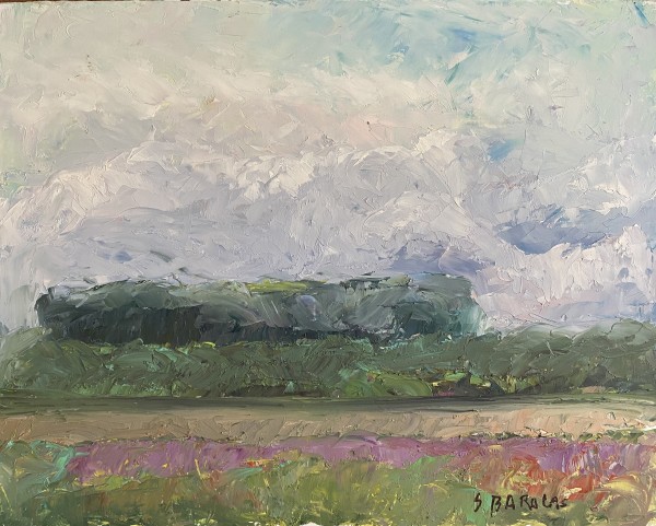Storm Approaching  unframed  -   Buy Now $110 by Susan Barocas