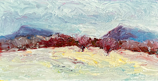 Still Winter - $250 by Susan Barocas