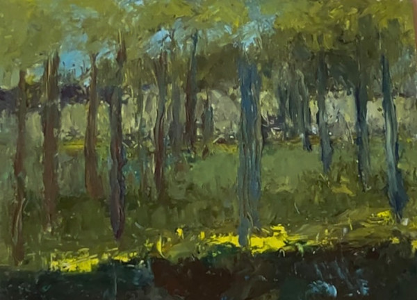 Late Afternoon in the Walnut Grove $350 by Susan Barocas