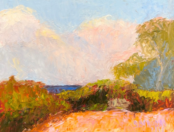 Blushing Clouds -  $200 by Susan Barocas
