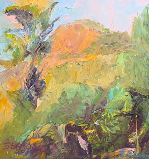 Magic on the Mountain - $300 by Susan Barocas