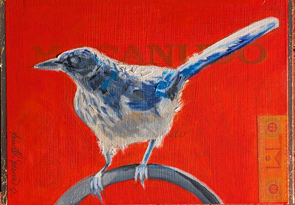 Blue Jay by Karine Swenson