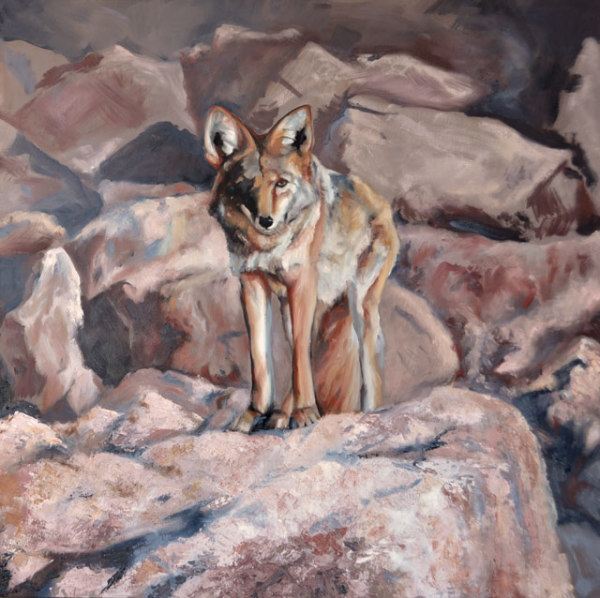 Bouldering (coyote) by Karine Swenson