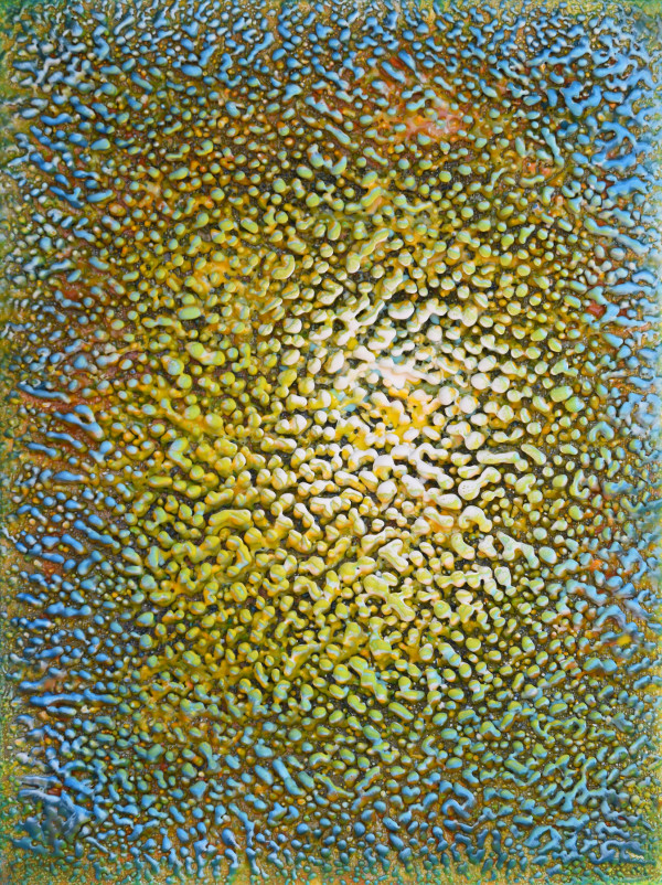 Petri Dish by Karine Swenson