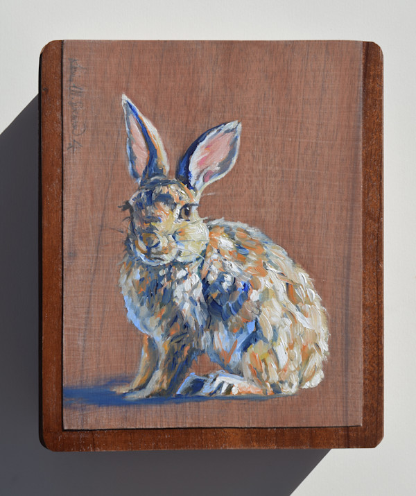 Uncertain Rabbit by Karine Swenson, Image 1.