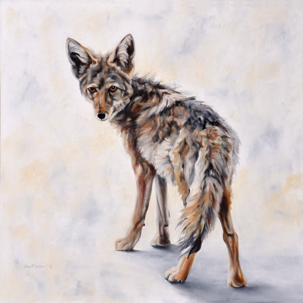 Youngster (coyote) by Karine Swenson