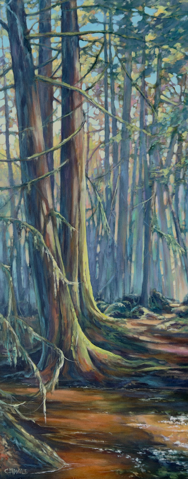 Forest Path by C Mawle Art