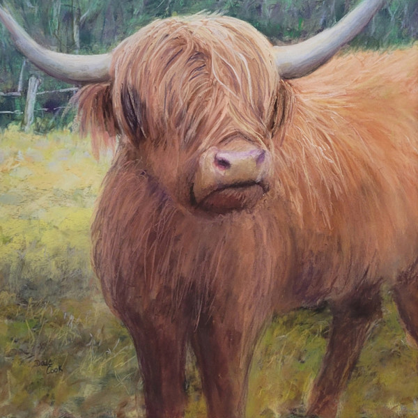 Colonel Coo by Dale Cook