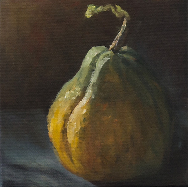 Still Life - Squash by Dale Cook