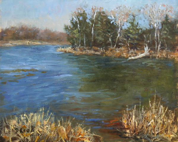 Hampton Spooner Island by Dale Cook