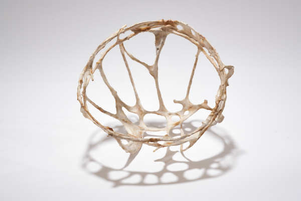 Consequence by Deborah Benioff Friedman