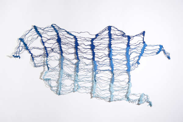 Reticulate Blue by Deborah Benioff Friedman