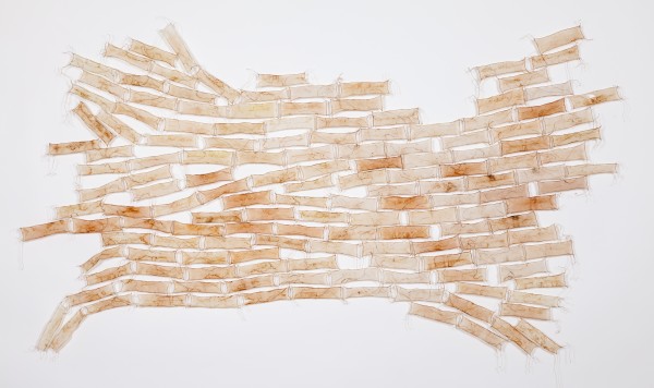 Tessellation by Deborah Benioff Friedman