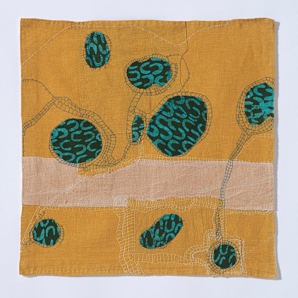 Tidal Range by Deborah Benioff Friedman