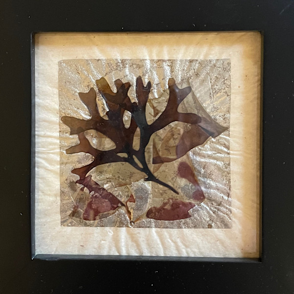 Silvery Sea by Vera Gierke