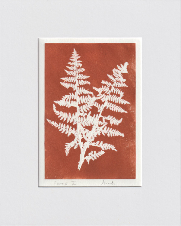 Ferns I by Vera Gierke