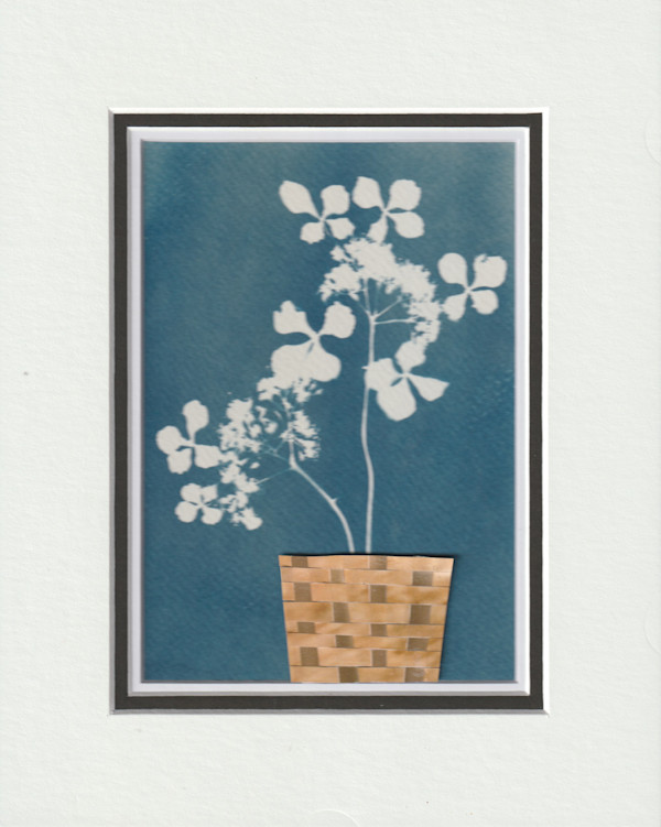 Hydrangea In Basket II by Vera Gierke
