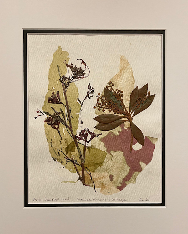 From Sea And Land by Vera Gierke