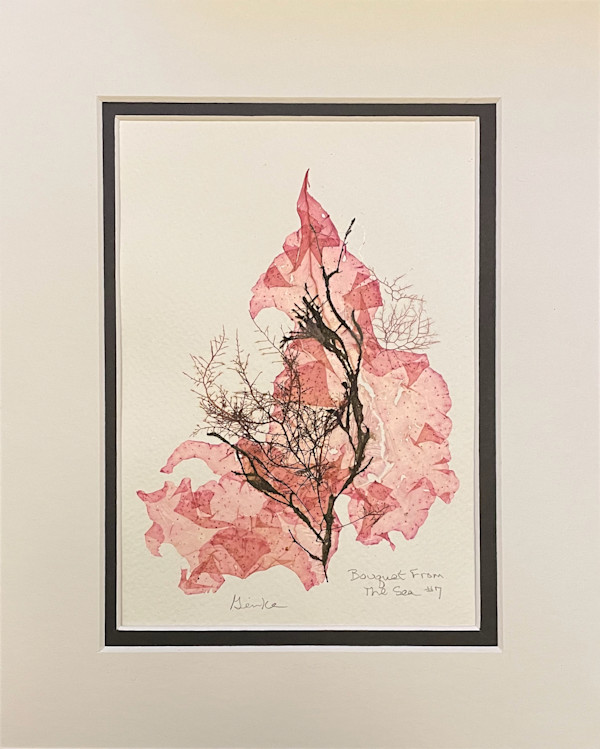 Bouquet From The Sea #7 by Vera Gierke