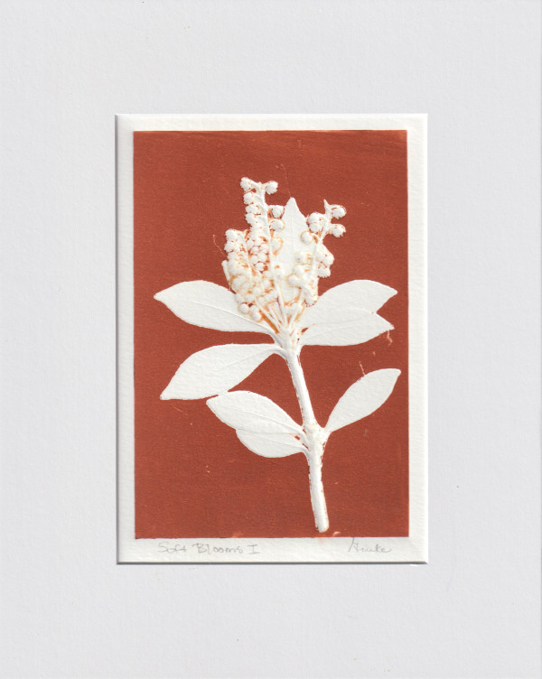 Soft Blooms I by Vera Gierke