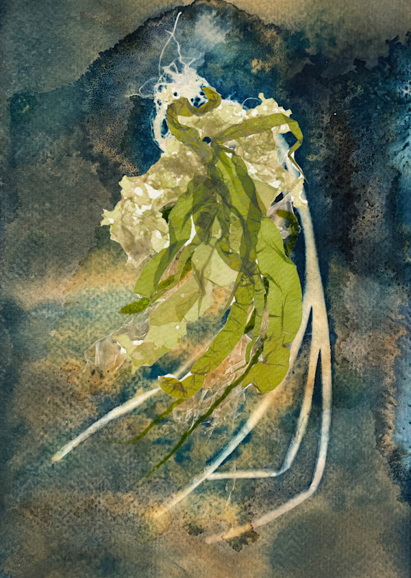 Seaweed on Seaweed by Vera Gierke