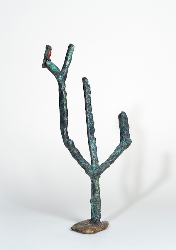 Avis Cactum by Gina Michaels