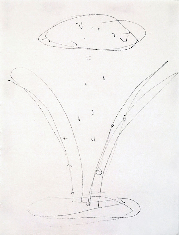 Cosmos by Hannah Luxton