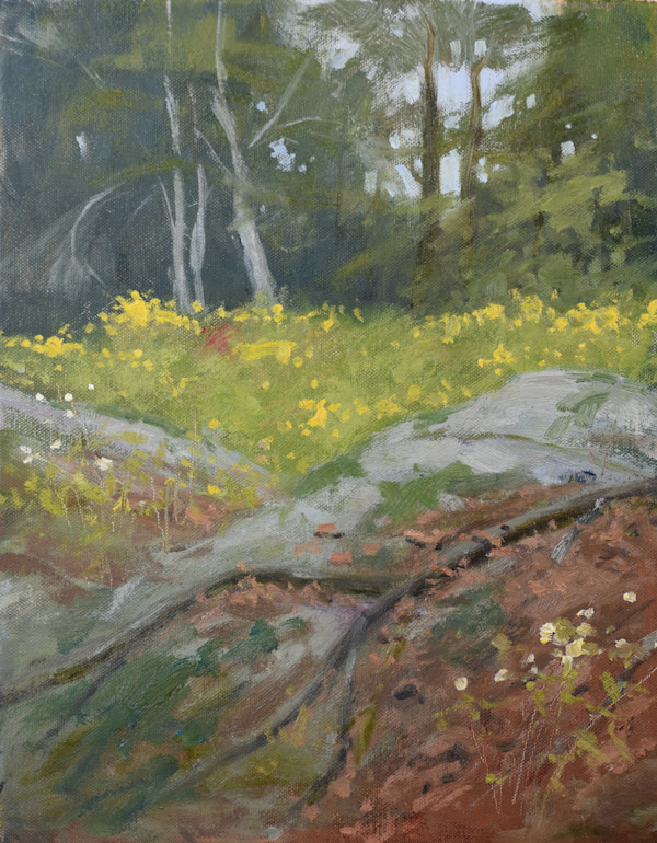 Into the Wildflowers by Debra Davis