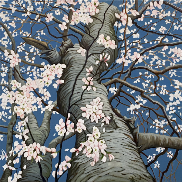 Cherry Blossom by Rachel Clegg