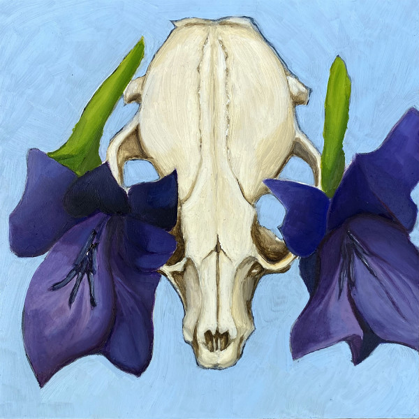 Racoon Skull, Gladiolus by Rachel Clegg