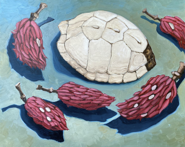 Turtle Shell, Mtn. Magnolia Seed Pods by Rachel Clegg