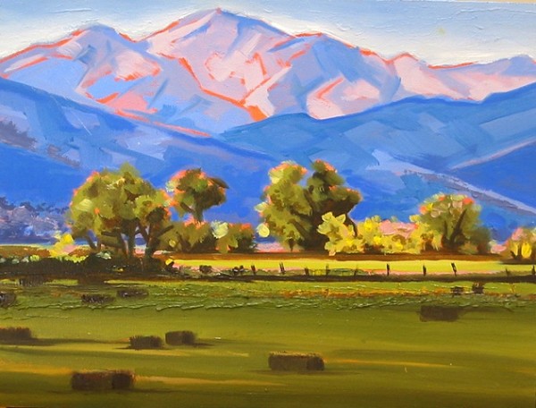 Colorado Pasture