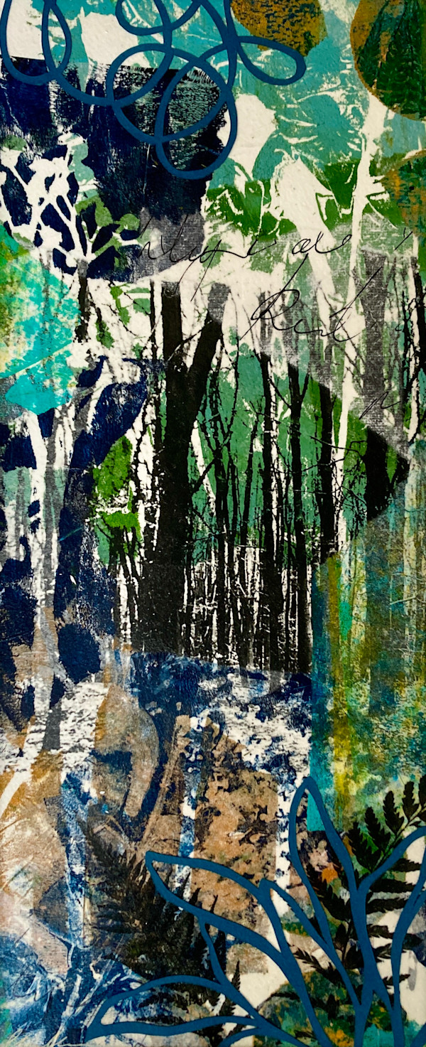 Finding Ferns by Clare Hogan