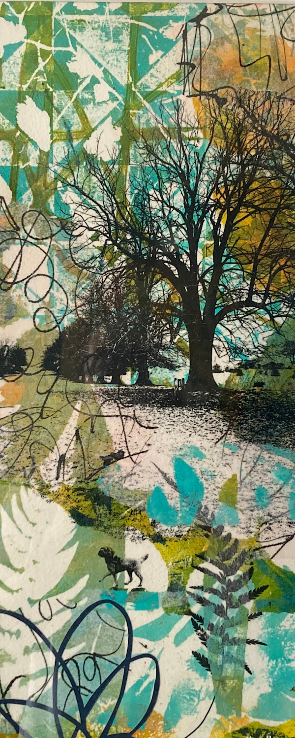 Woodland Walk 2 by Clare Hogan