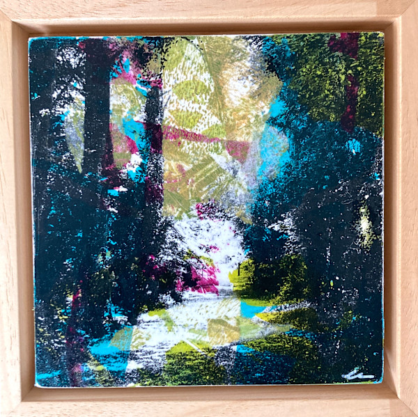 Dappled Light by Clare Hogan