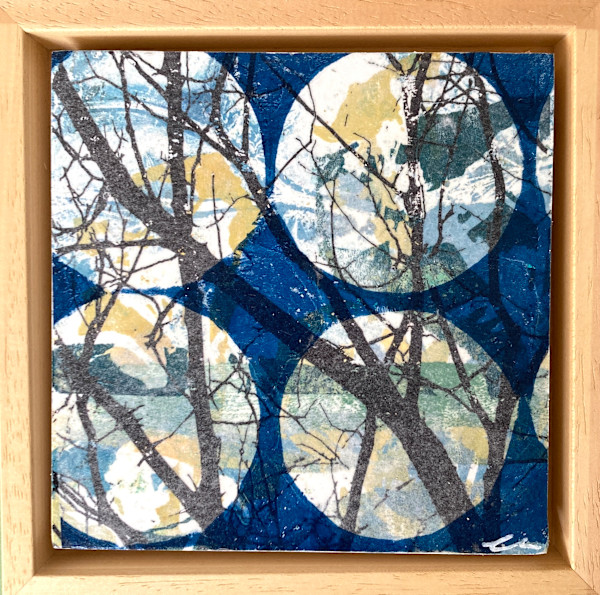 Forest Windows by Clare Hogan