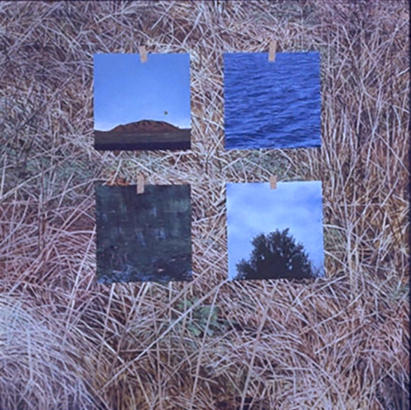 Four photos on Grass by Bruce Marsh