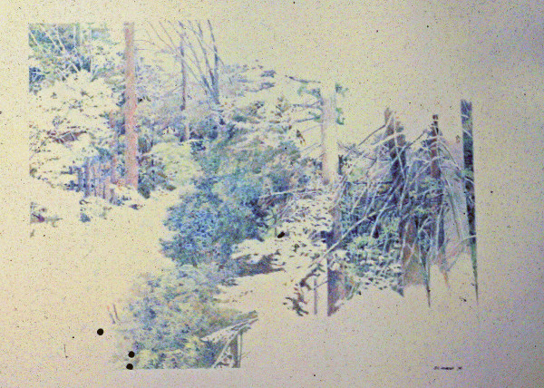 Arrowhead Drawing