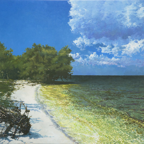 Bay Beach by Bruce Marsh
