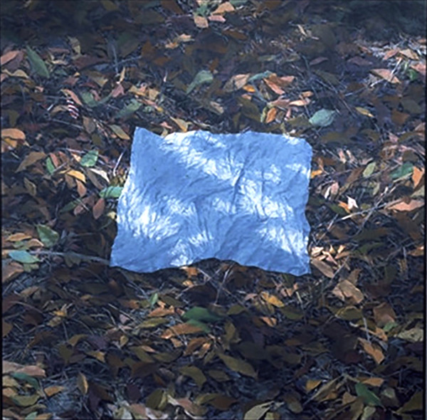 Cloth on Ground by Bruce Marsh