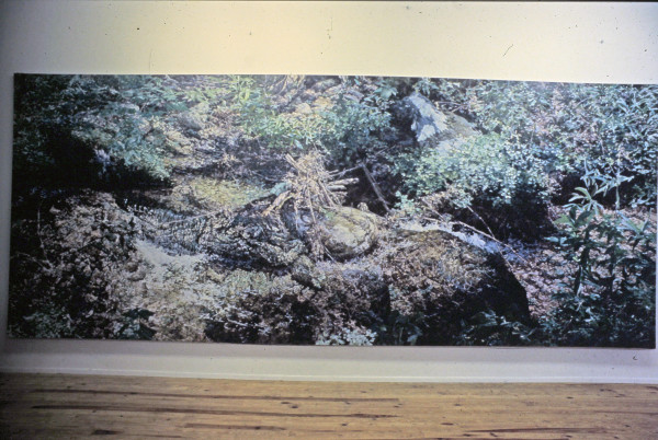 Commissioners Creek by Bruce Marsh