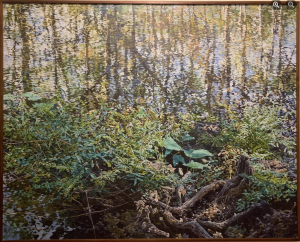Hillsborough River