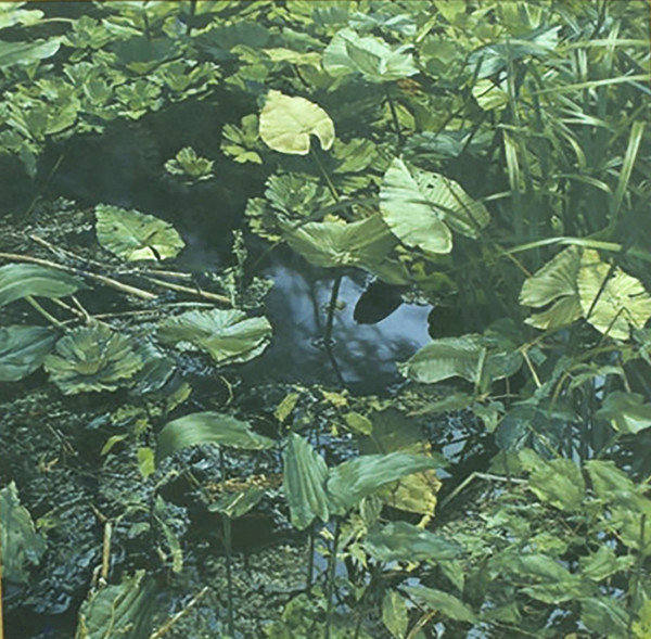 River Weeds III