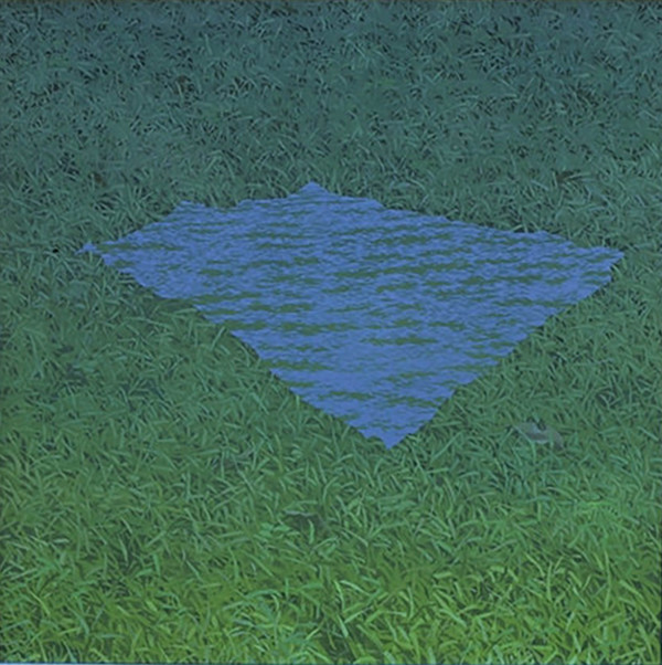 Sea on Grass